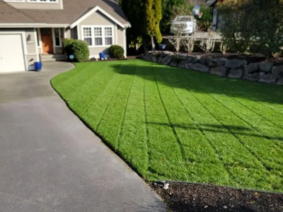 lawn maintenance