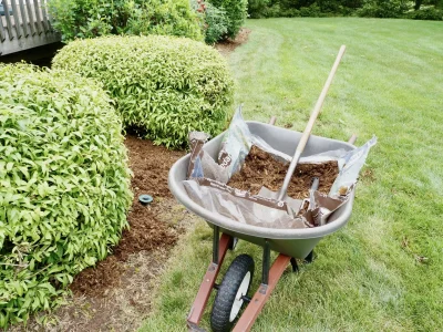 wheelbarrow-with-mulch-for-gardening-in-suburban-y-2026-01-05-06-00-31-utc